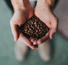 Hand holding coffee beans