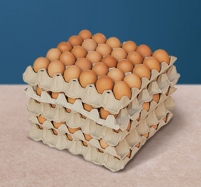 4582 FS Product Category Eggs 410x380