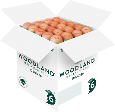 0177498 Woodland Free Range Eggs Size 6 