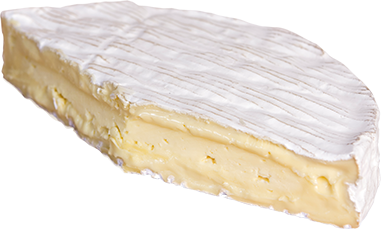 Puhoi Valley triple cream brie 2