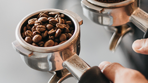 cafe-research-training-nz-barista